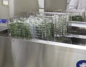 液体凍結器
