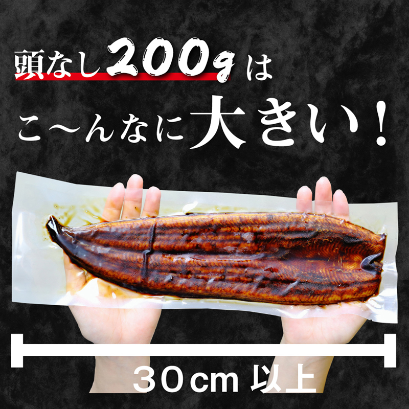 『特大!!うなぎ蒲焼き』無頭3尾と有機葉にんにくセット サブ写真2