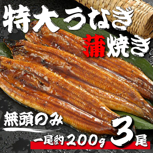 『特大!!うなぎ蒲焼き』無頭3尾と有機葉にんにくセット メイン写真