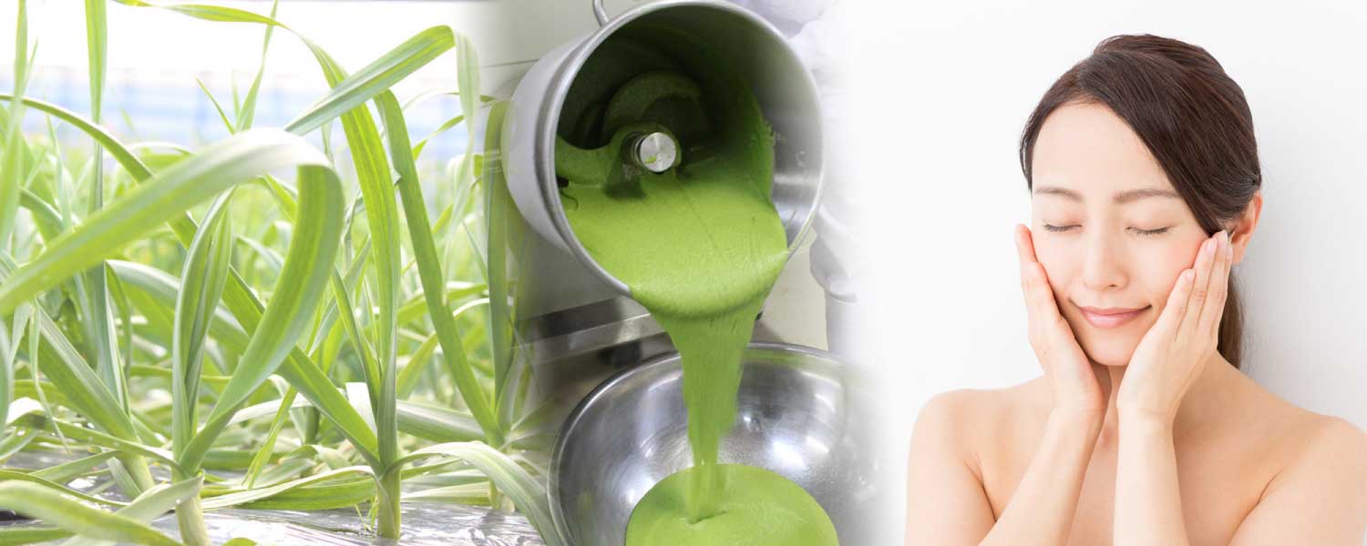 にんにくの“葉”のスムージー調味料だから、美容・健康成分が満載。